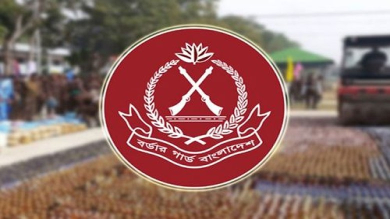 বিজিবিতে চাকরি, অষ্টম শ্রেণি পাসে আবেদন...