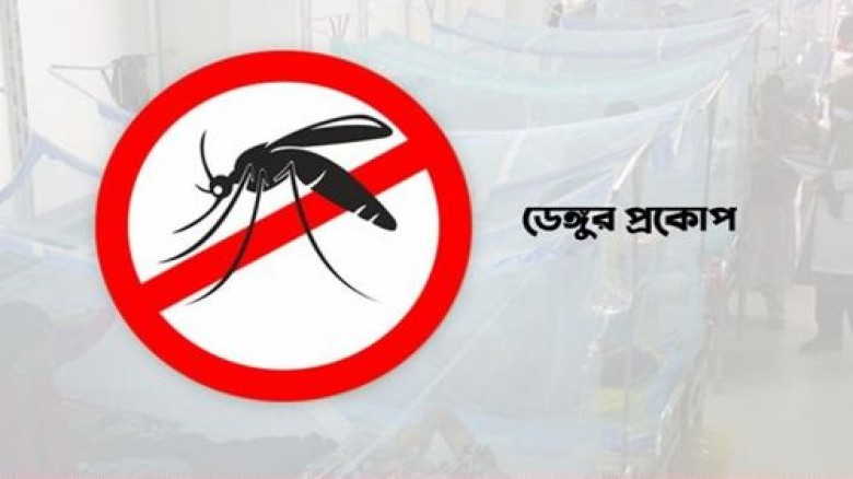 ২৪ ঘণ্টায় ডেঙ্গুতে আরও ২ মৃত্যু, হাসপাতালে ১১৭৯ জন...