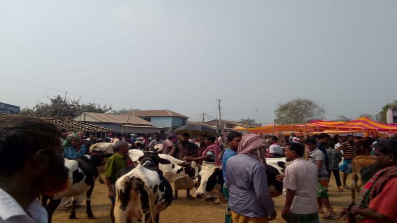 ভাঙ্গুড়ায় পশু হাটে নির্ধারিত মুল্যের চে