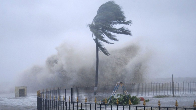 দেশের ২০ জেলায় ঝোড়ো হাওয়াসহ বৃষ্টির পূর্