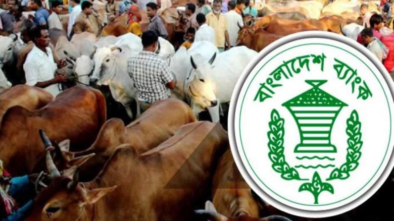 পশুর হাটে জাল নোট শনাক্তকরণ বুথ স্থাপনের